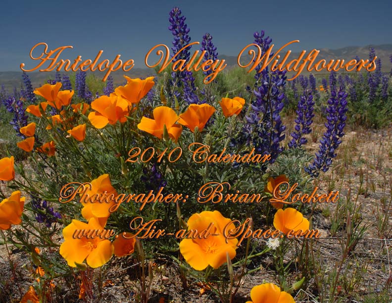 Lockett Books Calendar Catalog: Antelope Valley Wildflowers